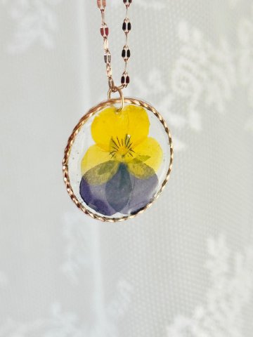 Colgante Pensamiento Amarillo y Azul