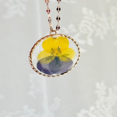 Colgante Pensamiento Amarillo y Azul